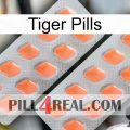 Tiger Pills 27